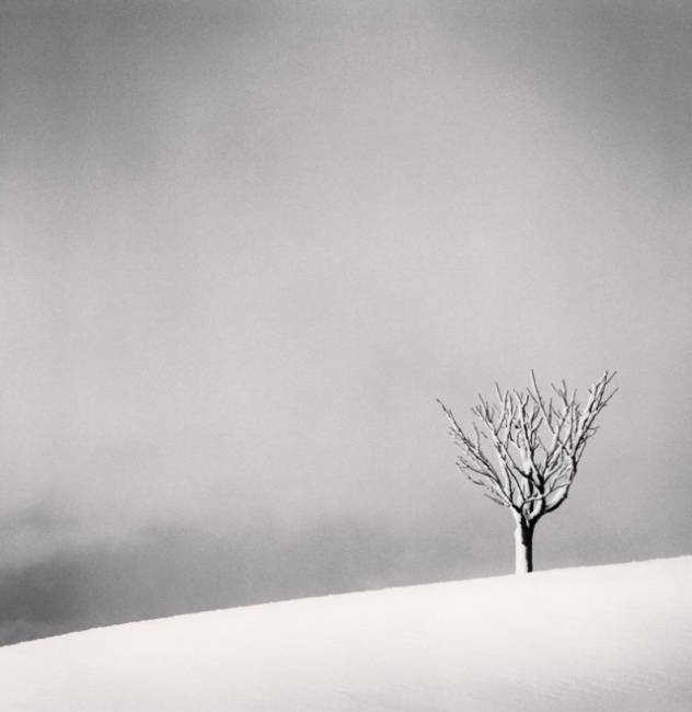 ▲ 일본 훗카이도에서 촬영한 ‘Snow fall(눈 내린)’