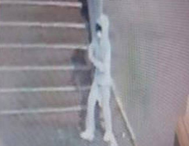 엿새 간 행방이 묘연했던 이채희 양이 서울 송파구 잠실역 롯데월드 인근 CCTV에서 포착된 모습. 경찰청 실종아동찾기센터 블로그 캡처