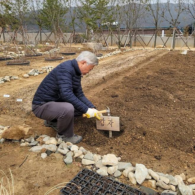 문재인 전 대통령이 17일 자신의 텃밭에 감자를 심는 모습을 공개했다. /문 전 대통령 페이스북