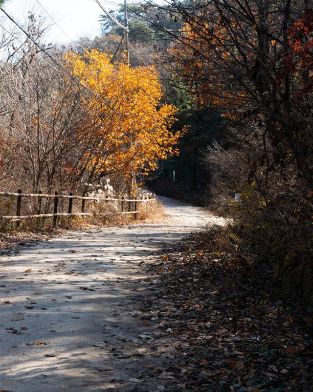 지난해 11월 단풍으로 물든 북한산 우이령길. 양주시 제공