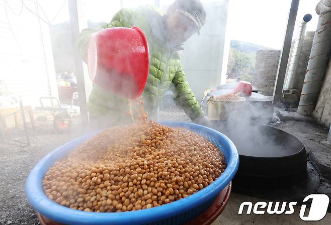 대구 달성군 구지면 대니골 마을기업 행원정에서 메주를 만들기 위해 가마솥에 삶은 콩을 건지고 있다. 2018.12.18/뉴스1 ⓒ News1 공정식 기자