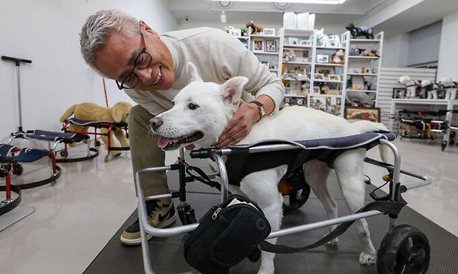 이철 워크앤런 대표가 척추 손상으로 뒷다리가 마비돼 스스로 일어서지 못하는 개에게 새로 제작한 휠체어를 착용시켜보고 있다. 장애견과 함께 특히 유기견에 대해 안쓰러워하는 마음과 애정이 큰 이 대표는 “어떤 한 생명을 식구처럼 데리고 키운다는 건 그만큼 책임이 뒤따른다”며 “반려동물 입양 결정은 신중하게, 입양하면 끝까지 책임지고 보호했으면 한다”고 당부했다. 최상수 기자