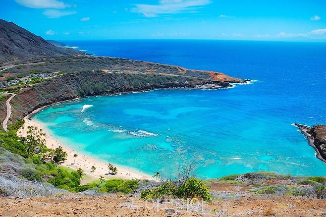 [사진] 미국 하와이의 하나우마 베이_호텔스닷컴