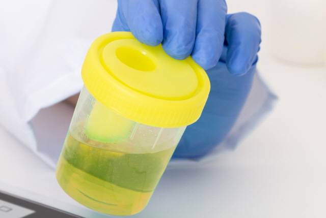 사진=게티이미지뱅크