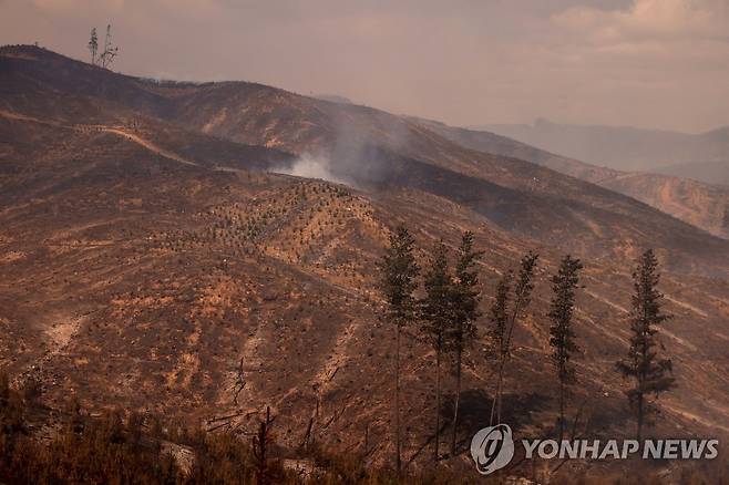 화마로 민둥산 돼버린 칠레 중남부…서울 면적 5.5배 소실 (비오비오 로이터=연합뉴스) 남미 칠레 중남부 지역에서 지난 3일 발생한 대형 산불이 일주일 넘게 이어지면서 12일(현지시간) 비오비오주의 일부 산림지대가 전소돼 있다. 칠레 국가재난예방대응청은 비오비오주와 라아라우카니아주를 중심으로 번진 화재로 현재까지 24명이 숨지고 6천명에 육박하는 이재민이 발생했다고 밝혔다. 소실 면적은 서울 면적(605㎢)의 약 5.5배인 3천360㎢로 추산했다. 2023.02.13 jason3669@yna.co.kr