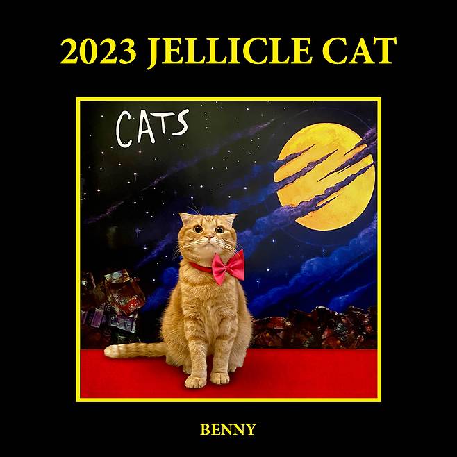 2023년 1월 서울 개막 당시 냥집사 박권혜 씨가 운영 중인 유튜브 채널 베니패밀리의 주인공 베니의 레드카펫 모습 [클립서비스 제공]