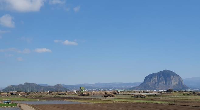 제주 서귀포시 대정읍 알뜨르비행장 일대에 널려 있는 옛 일본군 비행기 격납고(유개엄체). 허호준 기자