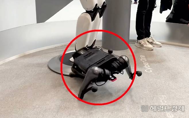 지난 28일(현지시간) 스페인 바르셀로나에서 열린 ‘모바일월드콩그레스(MWC) 2023’ 샤오미 전시관. 관람객들에게 4족 보행 로봇 ‘사이버독’을 시연하던 중 뒤로 엎어지는 모습. [사진=박로명 기자/dodo@]