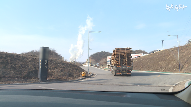 ▲사진 :&nbsp;목재 펠릿 공장으로 들어가는 통나무 트럭