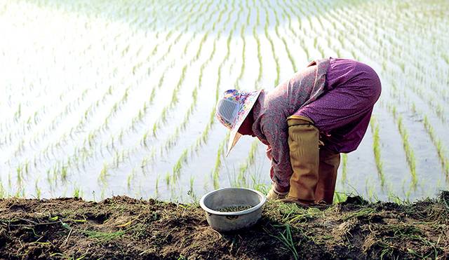 게티이미지뱅크