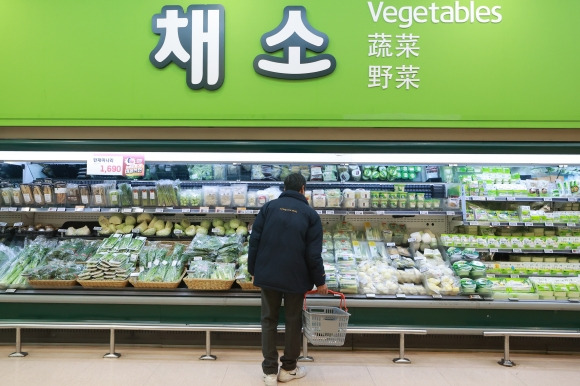 살 수가 없다! 아빠는 고민 중 - 통계청이 6일 발표한 ‘2023년 2월 소비자물가동향’에 따르면 지난달 소비자물가 상승률은 전월 대비 0.4% 포인트 하락한 4.8%를 기록했다. 물가상승률이 4%대로 내려간 건 지난해 4월(4.8%) 이후 10개월 만이다. 전체 평균 물가 상승 폭은 하락했지만 농산물·수산물 등 식품 가격은 전월보다 더 많이 올랐다. 지난 1월 0.2% 내렸던 농산물은 1.3% 올랐고, 특히 채소류는 7.4% 상승했다. 지난 1월 7.8% 올랐던 수산물은 2월에 8.3% 오르며 상승 폭을 키웠다. 사진은 서울의 한 대형마트 채소 코너에서 시민이 장을 보는 모습. 연합뉴스