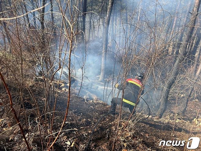 산불 현장 사진(산림청 제공)