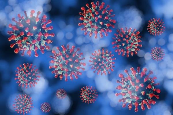 바이러스 자료사진 123rf.com