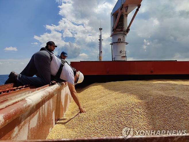 우크라이나산 곡물을 싣고 튀르키예 항구에서 검사를 받고 있는 상선 [EPA 연합뉴스 자료 사진. 재판매 및 DB 금지]