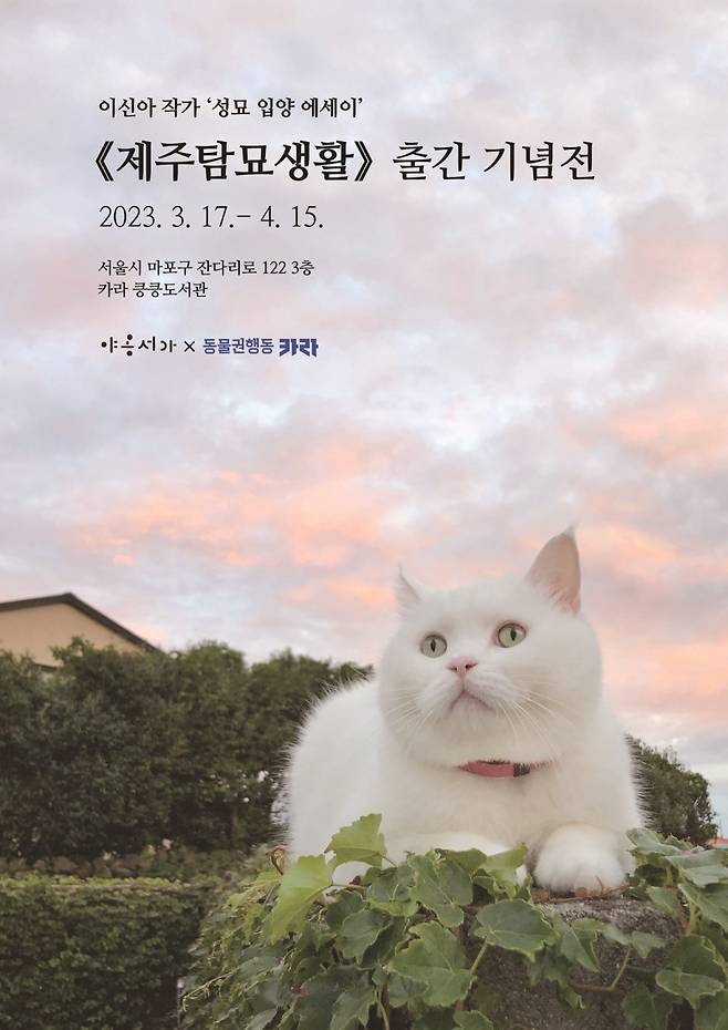 제주탐묘생활 사진전 포스터(카라 제공) /뉴스1
