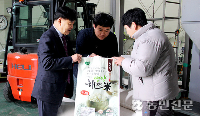 강원 양양 강현농협 벼 건조저장시설(DSC)에서 김일수 조합장(왼쪽)과 직원들이 미질을 살펴보고 있다.
