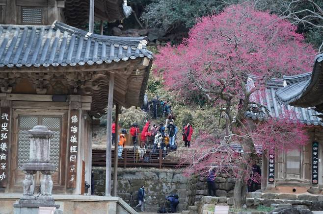 사진제공|화엄사