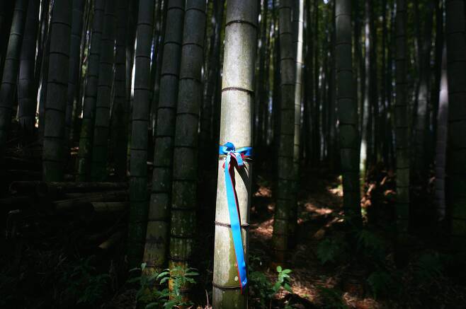 규슈올레는 일본에 진출한 제주올레다. 올레길 상징을 그대로 갖다 쓴다. 그 대가로 제주올레는 규슈관광기구로부터 1년에 100만엔씩 받는다. 규슈올레를 걷다 보면 어디에서든 올레 리본을 볼 수 있다.