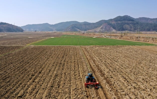 전남 나주의 논 모습. 사진 연합뉴스