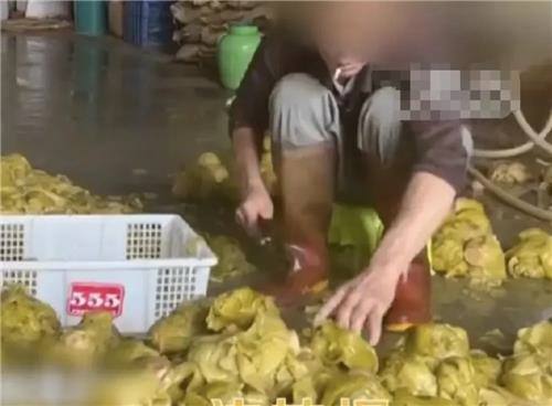 중국 광둥성 산터우의 한 쏸차이 제조공장에서 작업자가 담배를 물고 맨 바닥에서 채소를 다듬고 있다.   연합뉴스