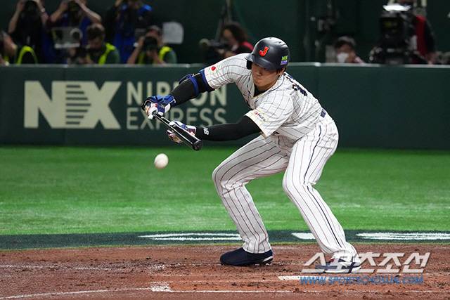 16일 벌어진 이탈리아와 8강전에서 번트를 시도한 오타니. 사진출처=일본야구대표팀 홈페이지