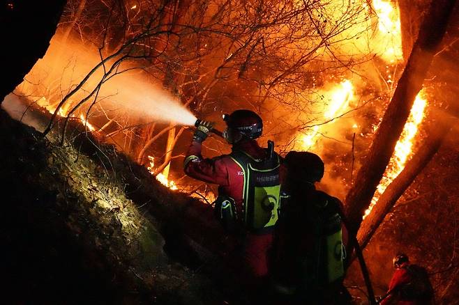 지난 9일 오전 산림청 공중진화대원들이 경남 합천군 용주면 산불을 잡기 위해 진화 작업을 하고 있다. /산림청