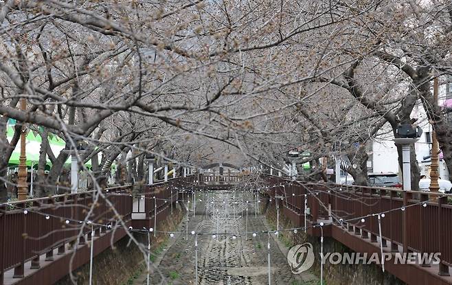 진해군항제 앞둔 로망스다리 (창원=연합뉴스) 김동민 기자 = 금요일인 17일 오후 경남 창원시 진해구 여좌천 로망스다리 일대에 다양한 조명등 등이 설치돼 있다. 개화는 아직이다.
    4년 만에 열리는 제61회 진해군항제는 24일 전야제를 시작으로 4월 3일까지 이어진다. 2023.3.17 image@yna.co.kr