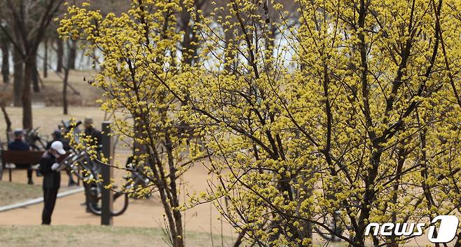 14일 오후 서울 광진구 뚝섬한강공원에서 시민들이 봄날씨를 즐기며 산책을 하고 있다.   2023.3.14/뉴스1 ⓒ News1