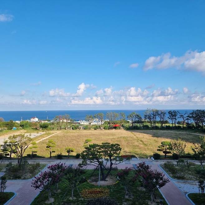 구룡포도서관 앞 전망.