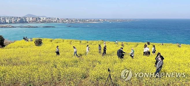 제주의 봄 (제주=연합뉴스) 박지호 기자 = 18일 제주시 조천읍 함덕 서우봉에 상춘객들이 찾아 유채꽃과 바다를 보며 제주의 봄을 만끽하고 있다. 2023.3.18 jihopark@yna.co.kr