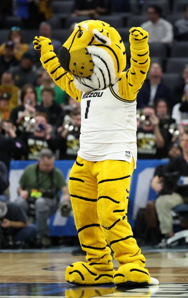 아이비리그 프린스턴 대학의 마스코트 타이거가 미주리전에서 승리하자 코트에 나와 춤을 추고 있다. 새크라멘토(캘리포니아주)|AFP연합뉴스