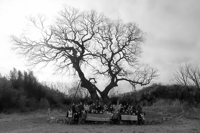 2022년 3월 ‘하제 팽나무’ 앞에 모인 사람들. 장영식 사진작가 제공