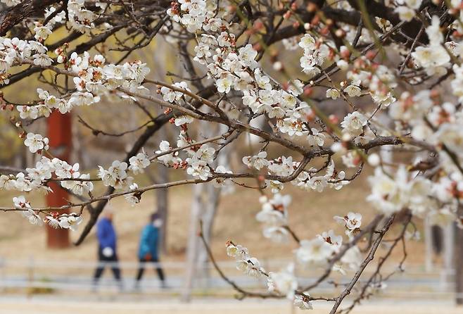 ▲사진:연합뉴스