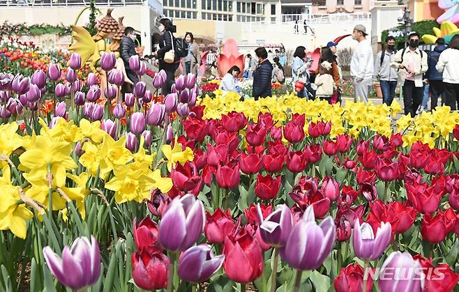 [용인=뉴시스] 김종택 기자 = 19일 경기도 용인 에버랜드 페어리타운을 찾은 시민들이 튤립,수선화 등 활짝 핀 꽃길을 거닐며 봄기운을 만끽하고 있다. 2023.03.19. jtk@newsis.com