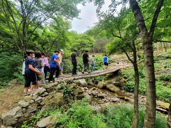하이힐링원의 청소년 숲체험 프로그램에 참여한 청소년들이 숲길을 걷고 있다. 강원랜드 제공