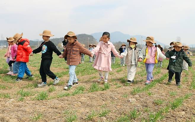 [충주=뉴시스] 이도근 기자= 20일 충북 충주시 탄금공원 Ⅲ단계 내 청보리밭에서 열린 '충주시민 걷기행사'에 참가한 어린이들이 청보리밭을 걸으며 화창한 봄기운을 느끼고 있다. (사진=충주시 제공) 2023.3.20. photo@newsis.com *재판매 및 DB 금지