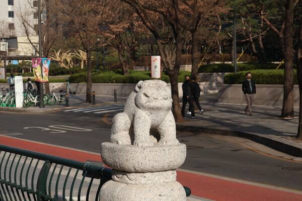 R50으로 촬영한 사진 (사진=정병연 기자)