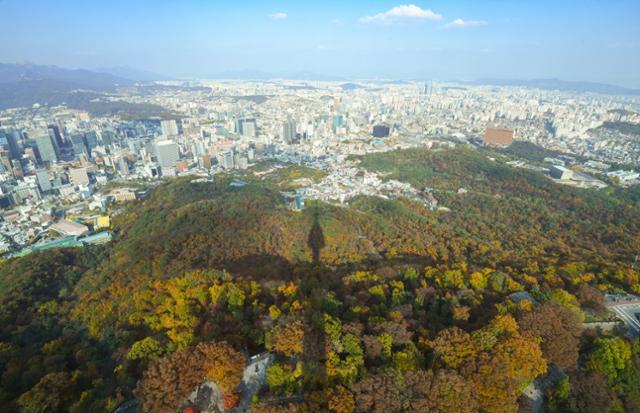 지난해 10월 서울 용산구 N서울타워에서 내려다본 남산 일대가 단풍으로 붉게 물들어 있다. 한국일보 자료사진