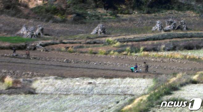 황해도 개풍군 일대 마을에서 북한 주민들이 농사일을 하고 있다. 2022.10.24/뉴스1 ⓒ News1 정진욱 기자