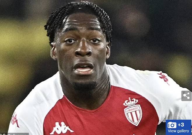 사진=영국 언론 데일리메일 홈페이지 기사 캡처