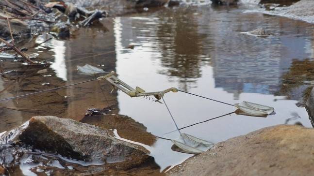 연구팀이 개발한 소금쟁이 10배 크기 로봇. 사진=고제성 아주대 교수 연구팀/연합뉴스