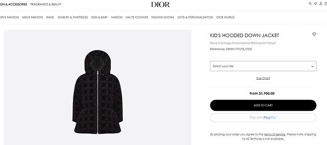 크리스찬디올 홈페이지 캡처