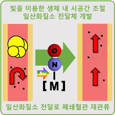 연구 그림 시공간적 일산화질소 전달을 통한 혈관폐쇄질환 치료 반응 도식. [울산과학기술원 제공. 재판매 및 DB 금지]