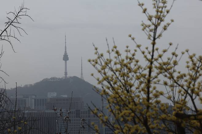 미세먼지 농도가 ‘나쁨’을 보인 24일 오전 서울 남산타워가 먼지에 덮여있다. 연합뉴스.