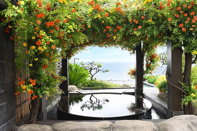 파라다이스 호텔 부산 봄 패키지 [파라다이스호텔앤리조트 제공]