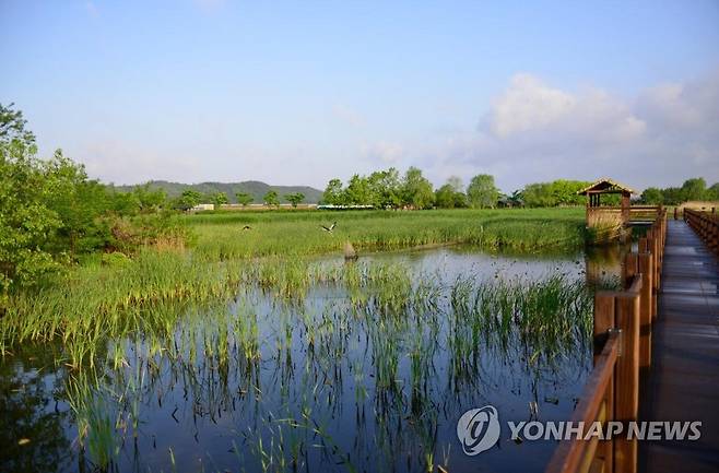 시화호 갈대습지 [안산시 제공]