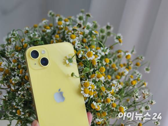 아이폰14 플러스 옐로 [사진=서민지 기자]