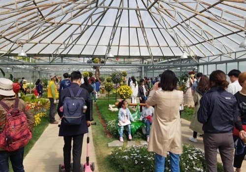 다음달 7~23일까지 인천대공원에서 ‘꽃 전시관’ 운영. 사진제공｜인천시