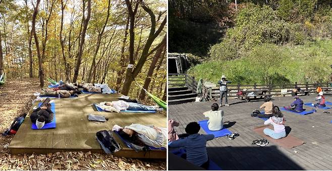 산림청의 숲 치유 프로그램 모습 [사진제공=산림청]