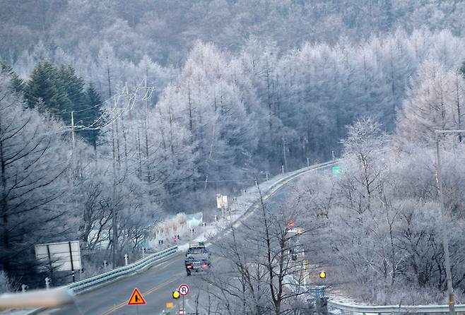 27일 아침 최저기온이 영하 7.1도까지 떨어진 강원 평창군 대관령 일원에 상고대가 활짝 펴 이국적인 풍경을 연출하고 있다. 연합뉴스.